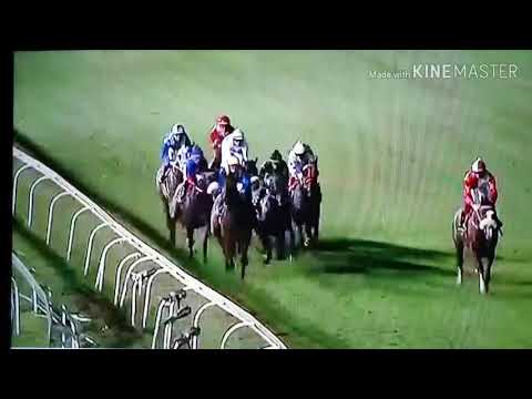 Pietro Mascagni 4 times winner horse