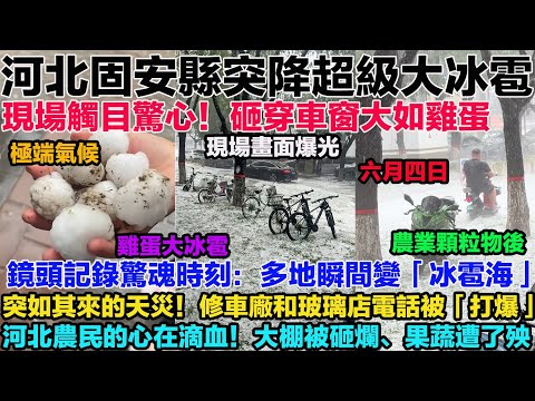 June 4 Super Hailstorm in Gu'an, Hebei. A Shocking Scene! Hit by Both Torrential Rain and Hail. T...