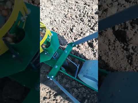 Håndløg planter / Hand spring onions planter SLR-1/1 VAS