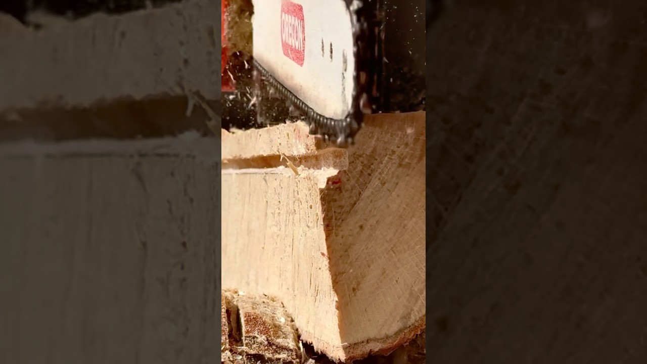 bush craft shelter (17)  山小屋の小窓作り！