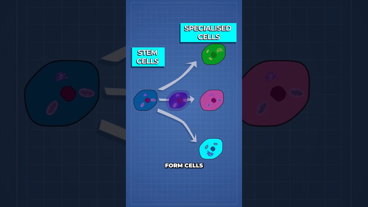 Scientists Reverse Cancer Back to Healthy Cells