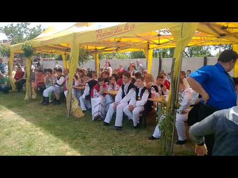 FESTIVALUL MOTILOR 2017 -  CRAISORII MOTILOR - POLCA DE BBIHOR - WP 20170521 14 30 59 Pro