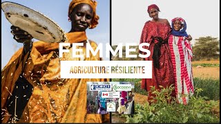 PROJET (FAR) FEMMES AGRICULTURE RÉSILIENTE - RÉALISATION DE FORAGES DANS LA RÉGION DE SÉDHIOU