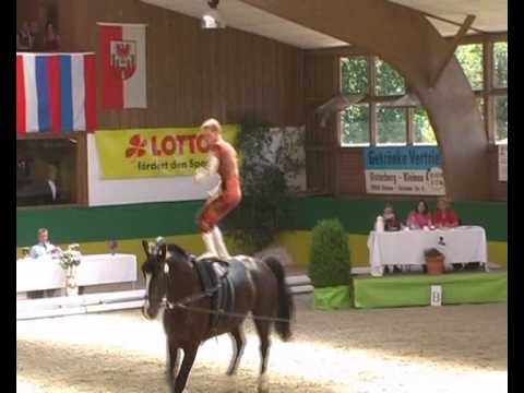 CVI** Krumke 2010 - Erik Oese (Kür)