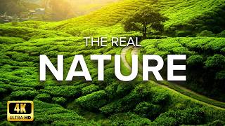 5 Amazing Places To Visit in The WORLD - 4K Travel Video