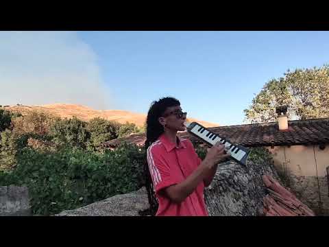 Melodicuts : MORGANA SOULJAH meets DIDUBZ - LAND OF CONFUSION