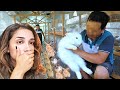The Dark, Twisted Truth about Breeding Rabbits
