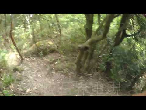 23072022 維城石界重現