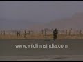Indian Airlines Flight 814 Hijacked From Kathmandu To Kandahar Archival Footage Of Rescue