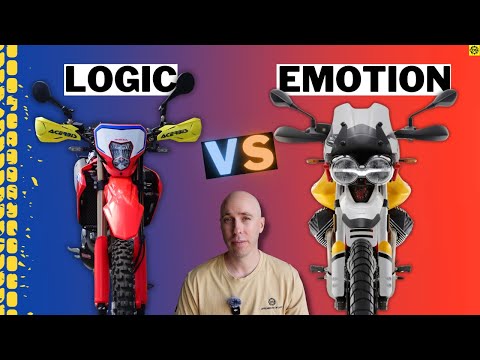 Head vs Heart — The Choice That Divides Every Rider