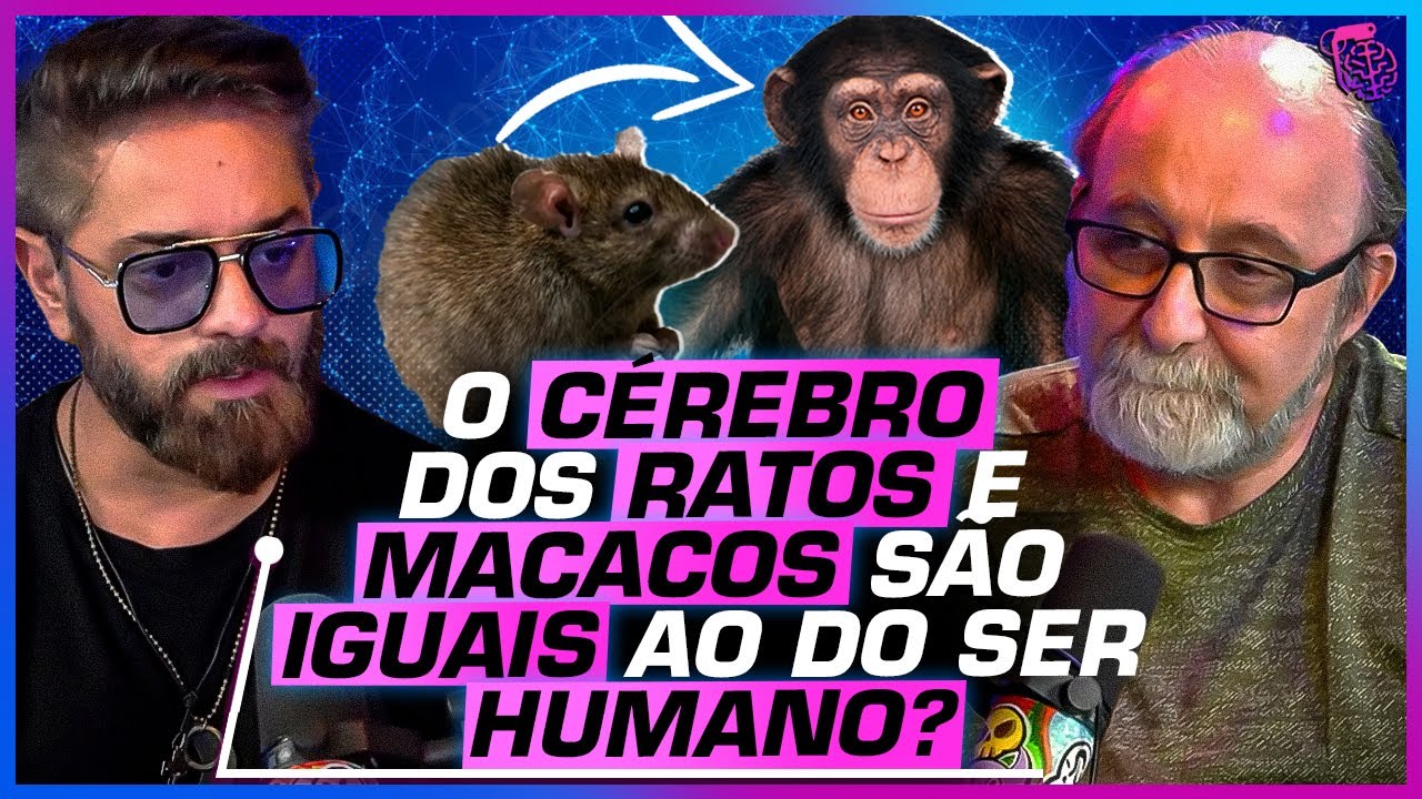 O TRABALHO de um NEUROCIENTISTA como você NUNCA VIU - MIGUEL NICOLELIS