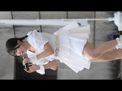 動画のタイトルなど