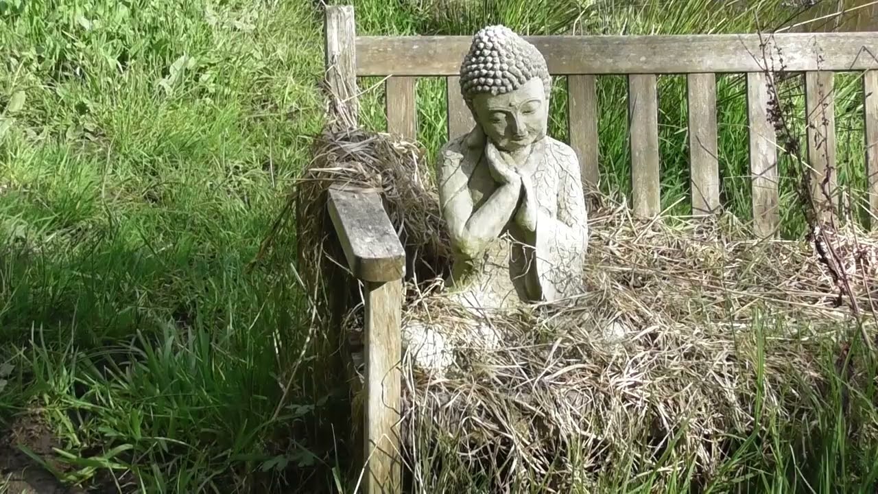Healing with love, hope and light: 10