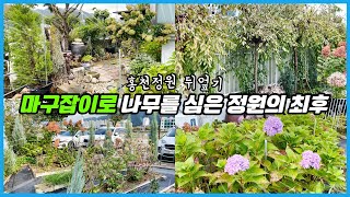 정원식물 함부로 심지 마세요... 홍천정원 뒤엎었습니다...