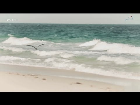 Qatar TV 1 // Ident #⑧ (2022)