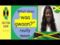 What does "waa gwaan" really mean? Jamaican Patois for beginners/ How to speak like a Jamaican