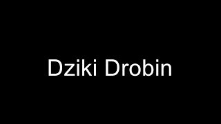 preview picture of video 'Dziki Drobin - Official Movie - Stowarzyszenie Nasz Drobin'