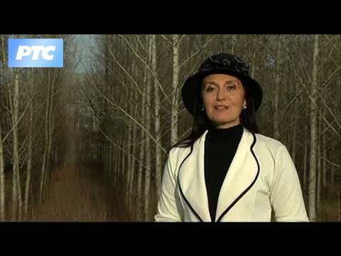 Srpska muzika kroz vekove -  Slobodan Atanacković i Konstantin Babić