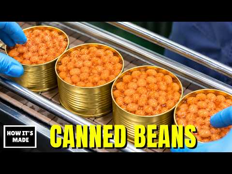 How Canned Beans Are Made - The Cheapest Superfood Nobody Thinks About