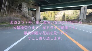 国道２５７号をさくらの綺麗なところだけダイジェストのひたすらドライブです。