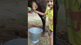 Download lagu Choti choti gaiya gigi mp3 Download lagu Choti choti gaiya gigi mp3