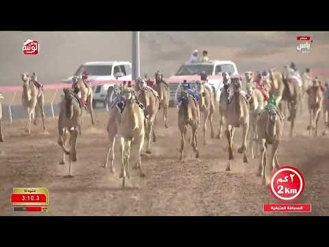 ش 13 (شاهين) لـ ياسر سالم محمد الدويكي 6:06:49 , مهرجان الشيخ محمد بن زايد 2025/12/24 حقايق الذيد