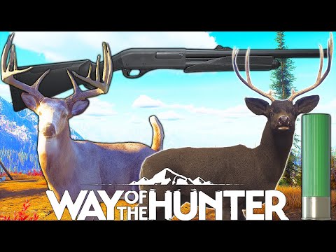 Deer Slug Hunt | Way of the Hunter