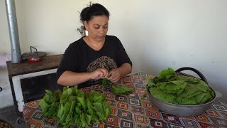 My Way to Storing Vine Leaves for the Winter with Mint and Plum - Cooking Fresh Beans for Dinner