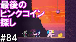 「ピンクコイン探し再び」DELTARUNE(84)