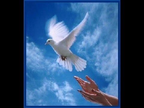 Who Will Answer? ~ my vote for the greatest song of the 20th Century! Version 2