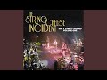 Pygmy Pony - The String Cheese Incident - Topic Pygmy Pony