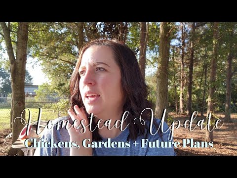 ONE ACRE HOMESTEAD | HOW FAR WE'VE COME AND WHAT'S OUR PLANS...