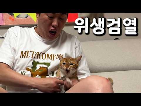 ㅈㅣ랄묘 발톱 깎기
