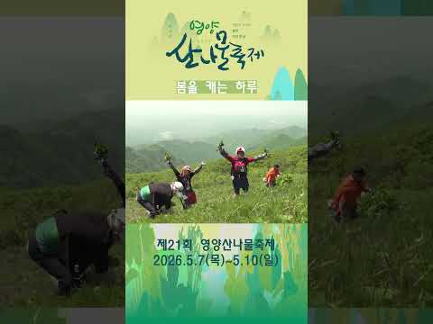 [영양군] 봄을 캐는 하루