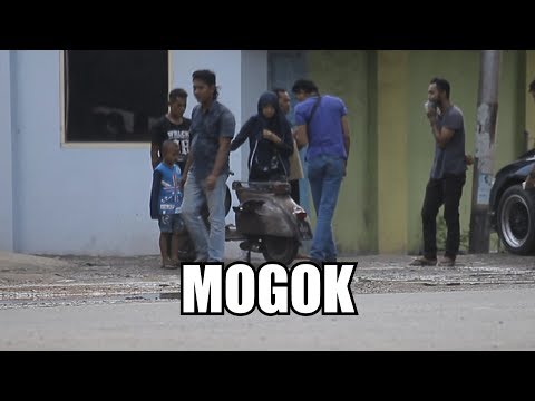 Awien_Syuib’s Video 142910818489 pdWJt3D79Ic