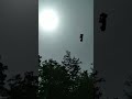 Elmo Can Fly