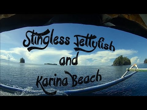 Togean Island - Jellyfish Lake (Mariona Lake) and Karina Beach