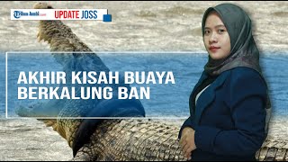 Download lagu AKHIR KISAH BUAYA BERKALUNG BAN, GAGAL DITANGKAP PANJI PETUALANG HINGGA MATT WRIGHT mp3