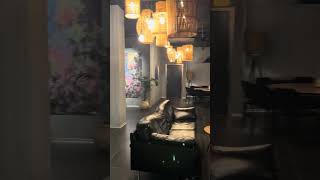 #copenhagen #ytviral #videoshorts #youtube #hotel #city #europe #travel #vlogs #blog #denmark #video