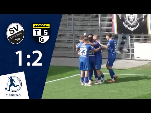 Sieg in Unterzahl | SV Sandhausen - TSG Balingen | 7. Spieltag RLSW