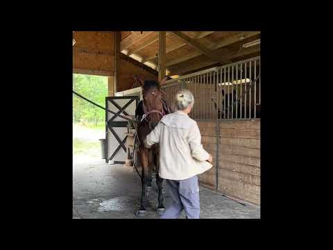 Henri video 1