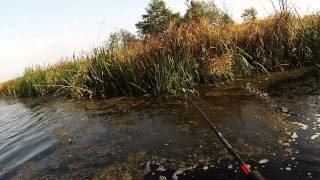 preview picture of video 'Jesienny Szczupak Zalew Sulejowski 12.10.2013 GoPro hero3 White Edition Autumn Pike'