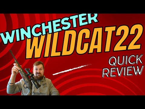 NEW Winchester Wildcat Review: Featherweight Plinker