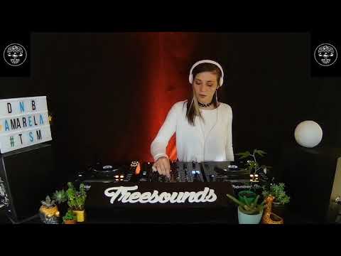 DJ AMARELA - TREESOUNDS TIME.