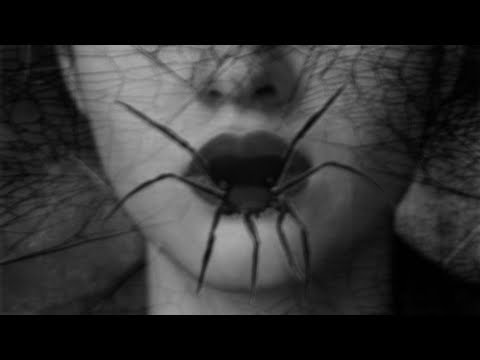 European Spider Goddesses