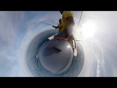 Traina col Vivo Doppio Strike