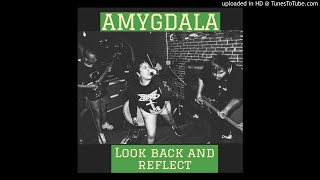 Look Back and Reflect Music Video