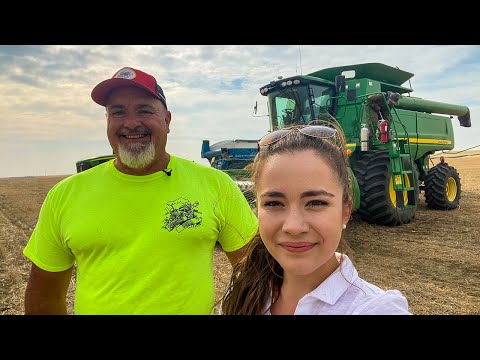 , title : 'Mike Less - Farmhand Mike Visits Kate's Ag Wheat Harvest!!!!!!  2021'