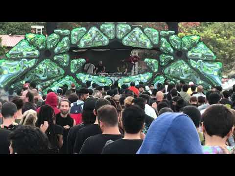 ZikOre live at Karakus Marakus 2020