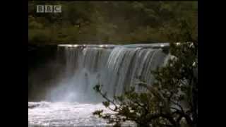 Dinosaur Supremacy - Walking with Dinosaurs - BBC